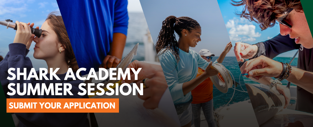 Shark Academy Application Promo 